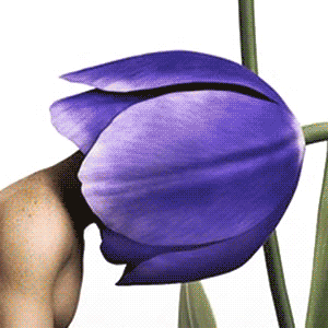 Child Catching a Water Lily