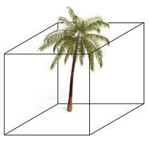 palmfronds.net